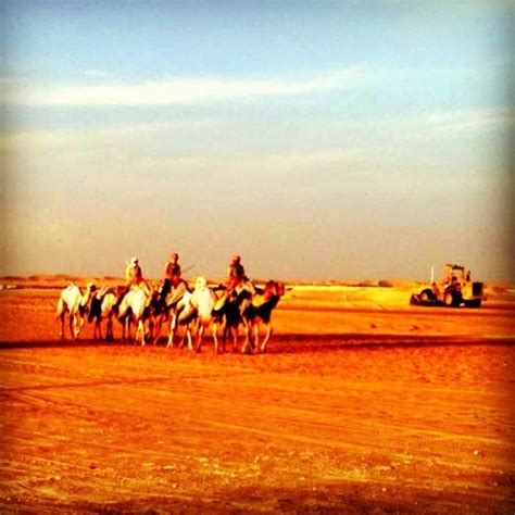 100 best images about The Rub' al Khali Desert on Pinterest | Resorts, United arab emirates and ...