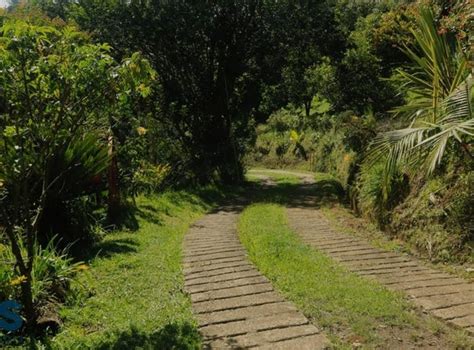 Rionegro, Antioquia Rural for Sale - realtor.com