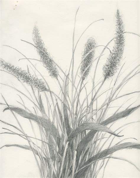 Grass Pencil Drawing at PaintingValley.com | Explore collection of ...