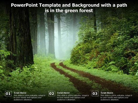 Powerpoint Template And Background With A Path Is In The Green Forest | Presentation Graphics ...