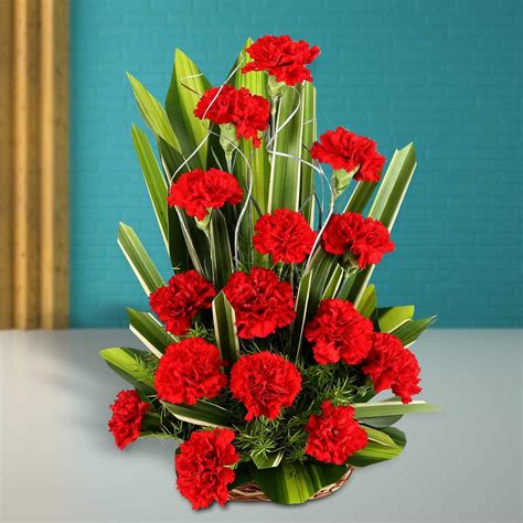 Buy Red Carnation With Basket Online at Best Price | Od