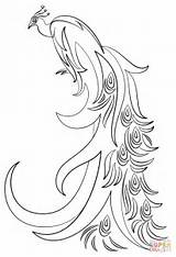Abstract Peacock coloring Page  Free Printable Coloring Pages sketch template
