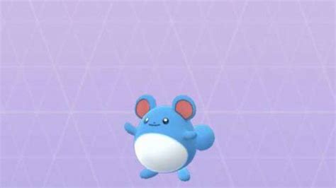 Is Marill shiny in Pokémon Go? - Arcade News