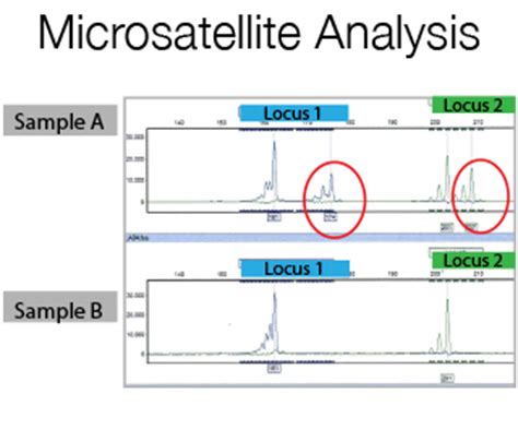 DNA sanger sequencing - Technical details | Scientific services | Cogentech