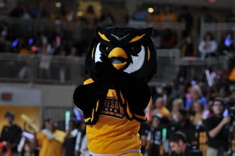 Scrappy the Owl of Kennesaw State | Kennesaw state, Mascot, Sports ...