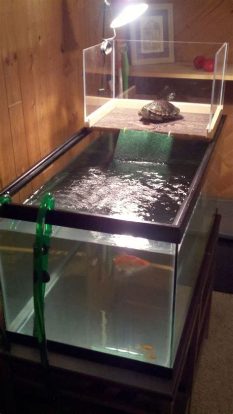 â ¥ Pet Turtle â ¥ A DIY turtle topper above tank basking platform ...