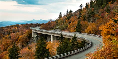 Our 5 Favorite Fall Drives In Virginia [DRIVING GUIDE]