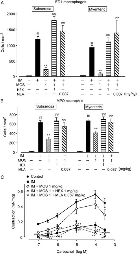 Quantification of antagonistic effects of hexamethonium and MLA on... | Download Scientific Diagram