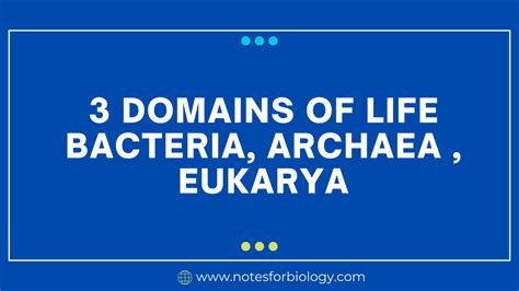 3 Domains of Life Bacteria, Archaea ,Eukarya