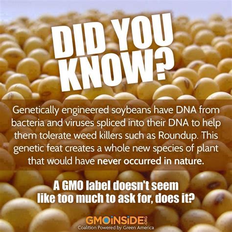 FACT: 96% of soybeans are now genetically engineered. GMOs were not created to feed the world ...