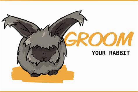 The Complete Guide to Grooming Your Rabbit (brushing, nail clipping, ear cleaning, etc.)