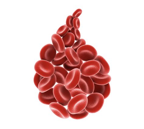 Hemophilia Genetics