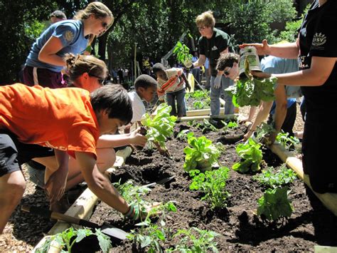 Let's Hear it For Youth Gardens! - Plant Talk