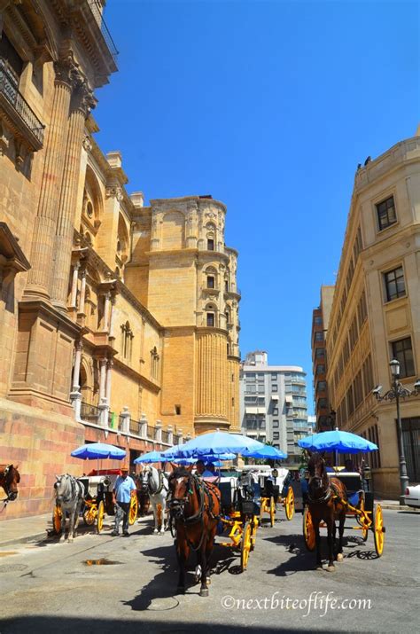 Feria Malaga. A Fun Traditional Festival In Spain - NEXTBITEOFLIFE BLOG