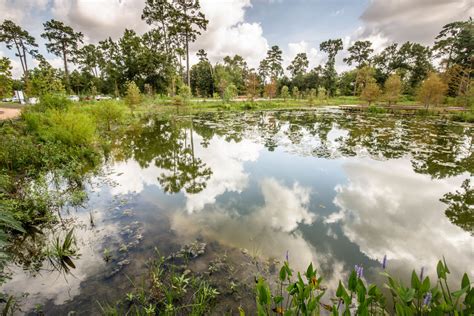 The Houston Arboretum Will Be Pay to Park in 2019 | Houstonia Magazine