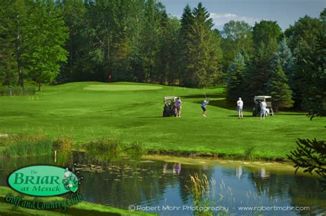 Cadillac Michigan Area Golf Courses to Play - Commercial, Portrait ...