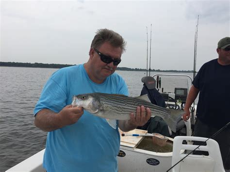 Striper Fishing | Lake Texoma | Buckley Striper Guide Service