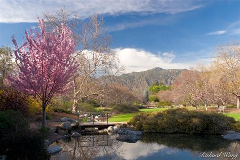 Los Angeles County Arboretum Photo | Richard Wong Photography