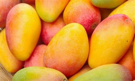 4 Powerful Mango Butter Benefits: The Best Natural Moisturizer?