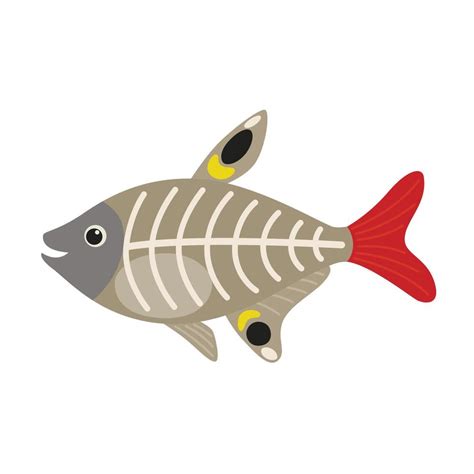 X-ray Fish animal cartoon character 19037731 Vector Art at Vecteezy