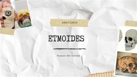 Etmoides y Esfenoides | Stefany Gerónimo | uDocz