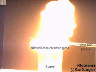 Loneoceans Laboratories - Nitrocellulose Synthesis