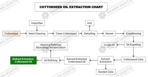 Cottonseed oil production line - Huatai Oil Machinery