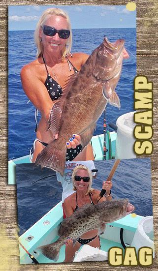 Grouper Fishing Tips | Tips and Tricks to Catch More Grouper