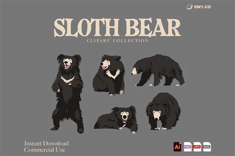 Sloth Bear Clipart Graphic by sw1co.design · Creative Fabrica