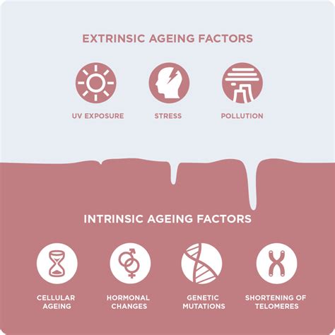 WHAT CAUSES SKIN AGEING? - Nourella