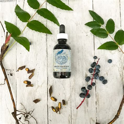 Oregon Grape Root Tincture — Ravensong Seeds & Herbals