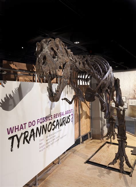 Smithsonian’s National Museum of Natural History Tells Story of “The Last American Dinosaurs” in ...