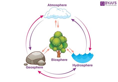 How do the 4 spheres interact? – killerinsideme.com