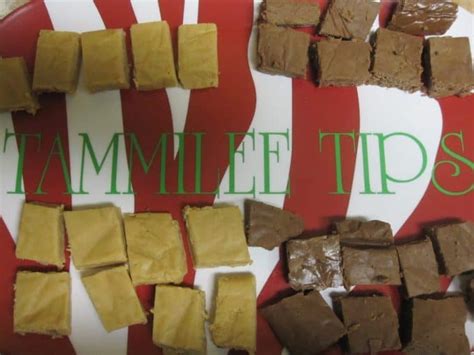 Carnation Famous Fudge Recipe - Tammilee Tips