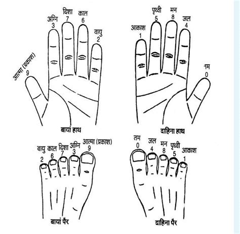 Ayurvedic Accupresure Figures : Acupressure Research, Training and ...