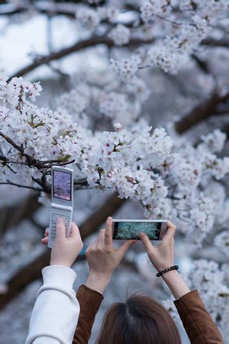 Traditional cell phone vs Smart phone | Which one is better … | Flickr