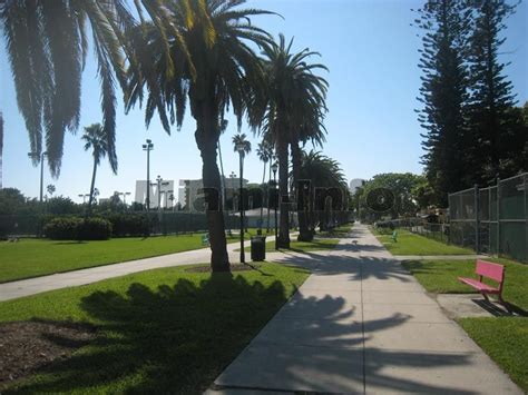 Flamingo Park South Beach, Miami Florida Photos