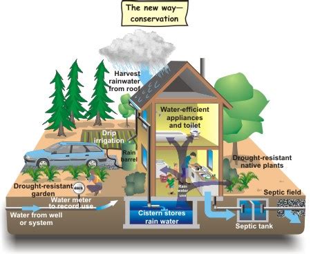 Amari's Sustainability Blog: Water – Conservation Methods / Initiatives