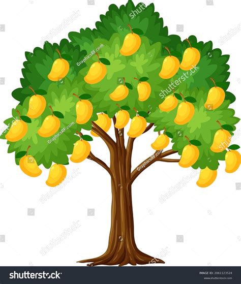 Mango Tree Cartoon Images