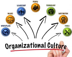 Shaping Organizational Culture: Unveiling the Power of Assumptions, Perceptions, Expectations ...