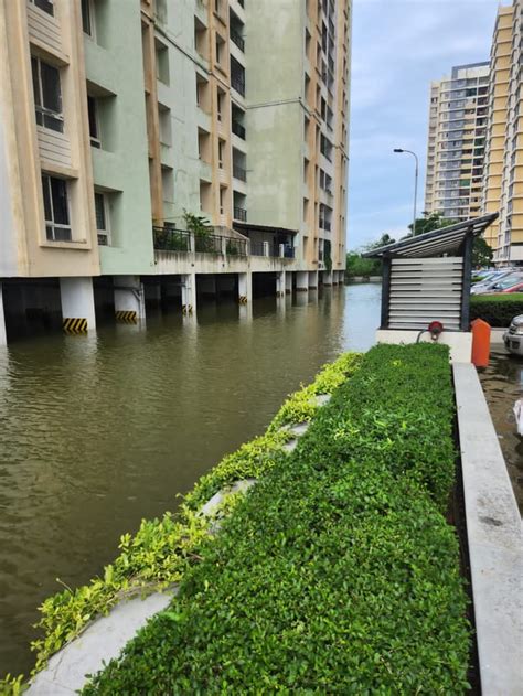 Chennai Floods: Perumbakkam residents Struggle Without Water, Food, Power for 2 Days