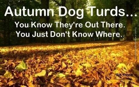 Funny Autumn Quotes. QuotesGram