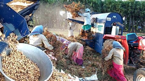 New Machine || Groundnut Harvesting | Peanut groundnut Harvester machine - YouTube