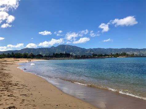 Haleiwa Beach Park - 2019 All You Need to Know BEFORE You Go (with ...