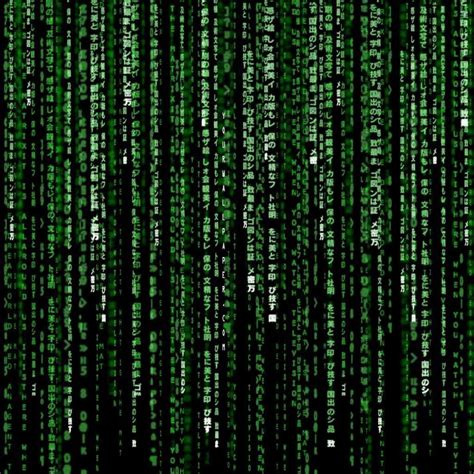 Matrix Wallpapers HD - Wallpaper Cave