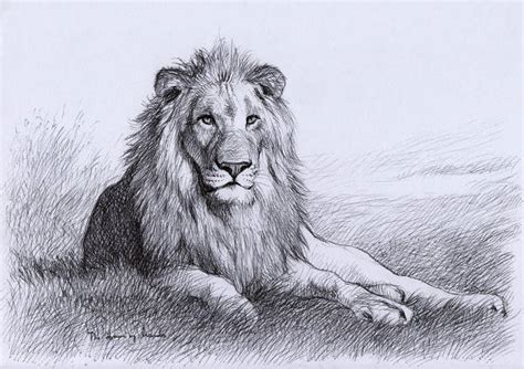 FREE 7+ Lion Drawings in AI