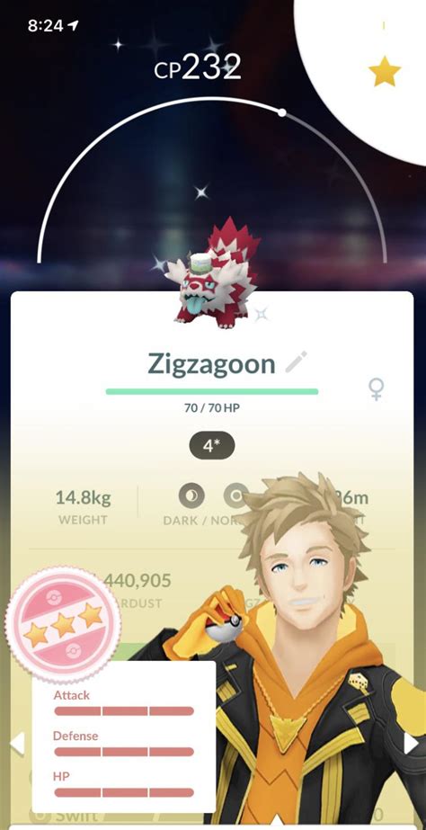 This is rarest Pokemon in Pokemon Go. Shiny 4 star galarian zigzagoon with a hat : r/pokemongo