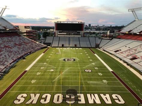 Pin by Melinda Elliott on Gamecocks | Gamecocks football, Gamecocks, Soccer field