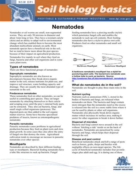 Nematodes - NSW Department of Primary Industries