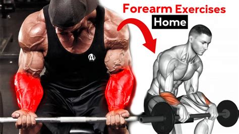 Best 5 Forearm Exercises For Big Forearms | Full Forearm Workout Routine | Forearm Training ...